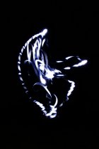 20160526_231916_andre_dsc_2212_web